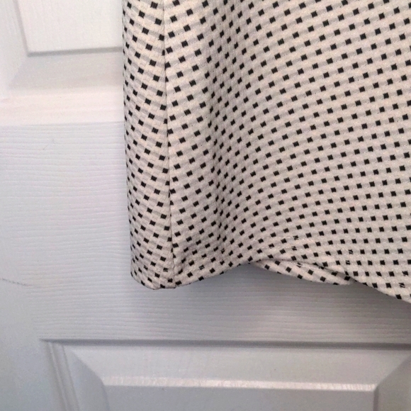 Black and White Mesh and Dotted A Line Dress - Picture 4 of 7